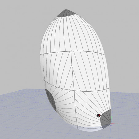 Spinnaker asimmetrico taglio triradiale