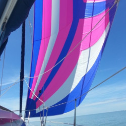 Code S taglio orizzontale