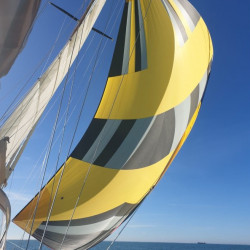 Symetrical spinnaker Radial cut